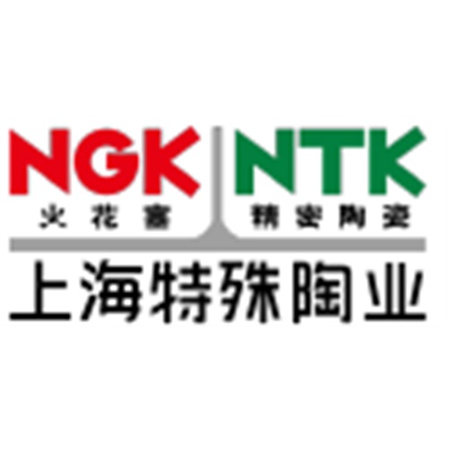 上海特殊陶业有限公司