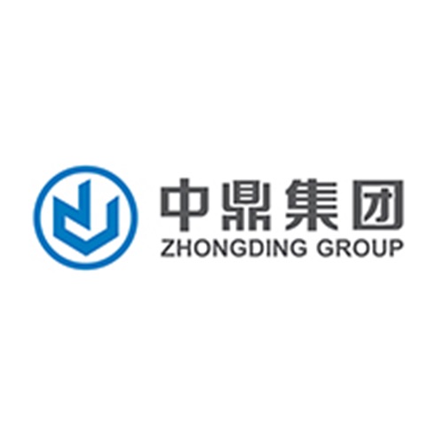 中鼎控股