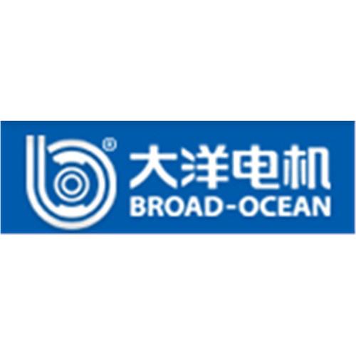 大洋电机新能源