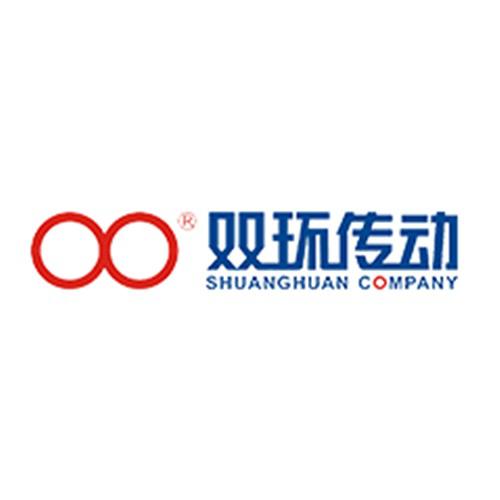 浙江双环传动