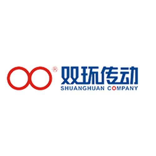 双环传动
